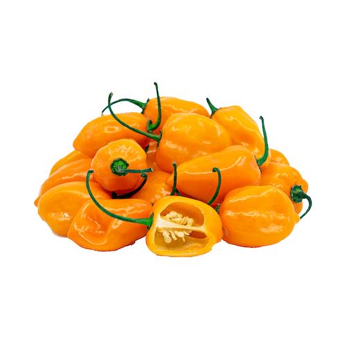 Rodo Pepper - Yellow x7