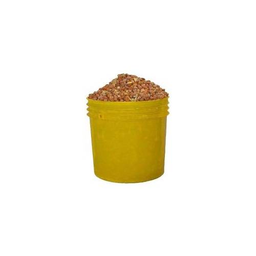 Beans - Olotu (Paint Bucket)