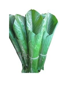 Moinmoin Leaves Bundle
