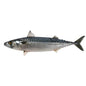 Titus Fish (Mackerel) x2 - Frozen