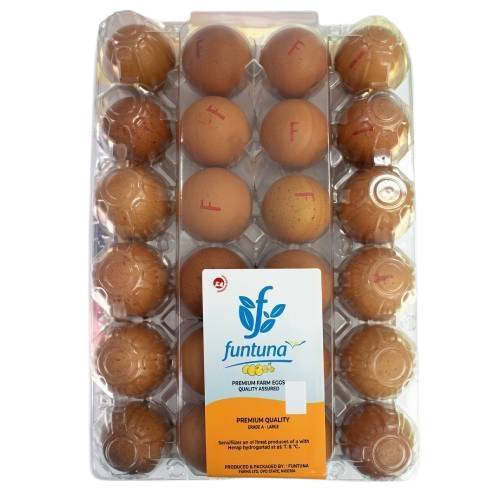 Funtuna Eggs x24
